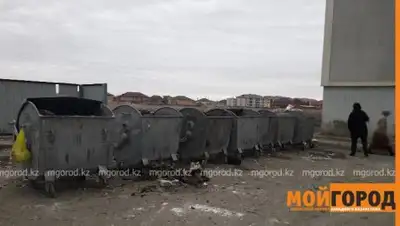 Zakon.kz, фото - Новости Zakon.kz от 08.11.2017 09:12