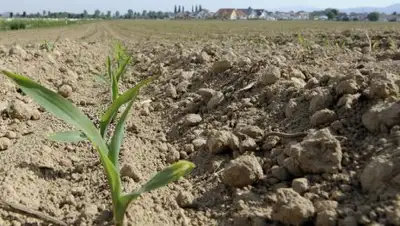 Zakon.kz, фото - Новости Zakon.kz от 10.11.2016 16:16