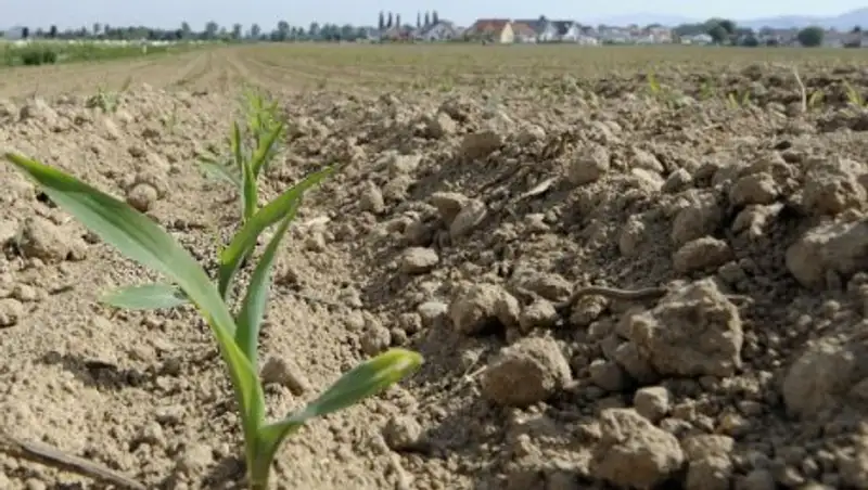 В Жамбылской области 93% земель возвращены в государственную собственность