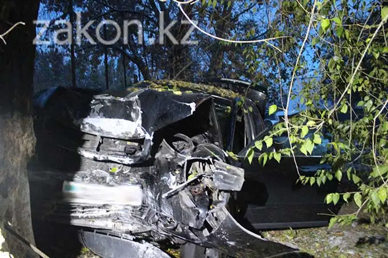 Девушка за рулем Ауди не справилась с управлением и врезалась в дерево, Алматы (фото) Девушка за рулем Ауди не справилась с управлением и врезалась в дерево, Алматы (фото), фото - Новости Zakon.kz от 11.11.2013 19:53