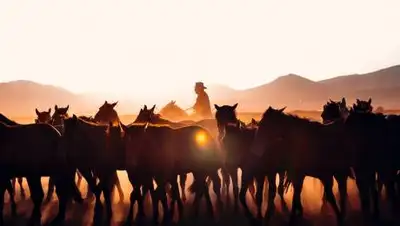 pexels.com, фото - Новости Zakon.kz от 03.08.2021 09:50