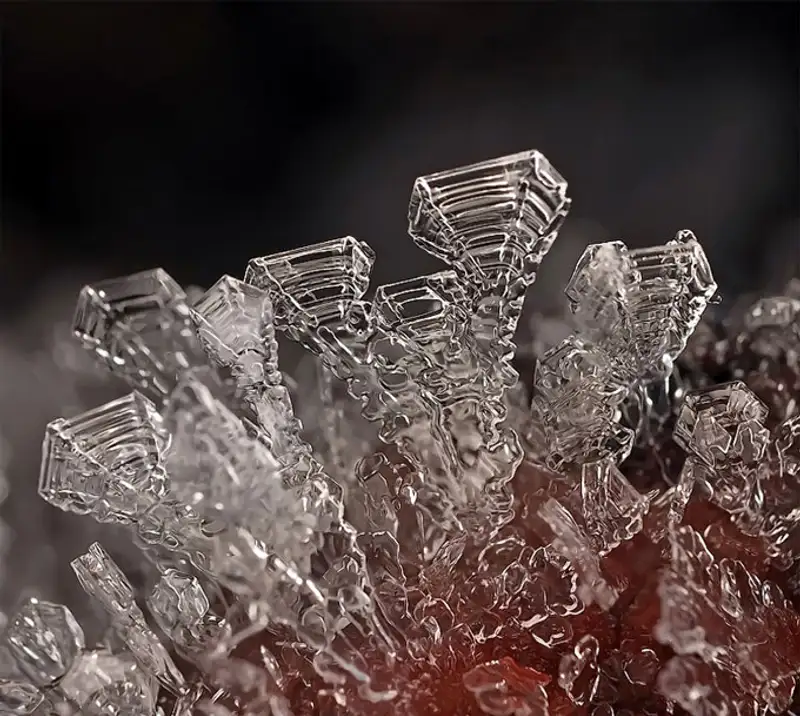 Снежинки. Фотограф Андрей Осокин Снежинки. Фотограф Андрей Осокин, фото - Новости Zakon.kz от 21.11.2013 00:00