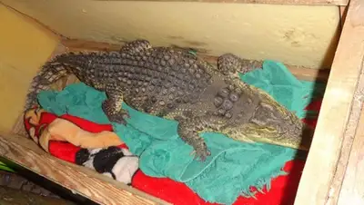 Zakon.kz, фото - Новости Zakon.kz от 14.12.2015 17:44