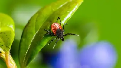 Рен.тв, фото - Новости Zakon.kz от 28.04.2021 06:58