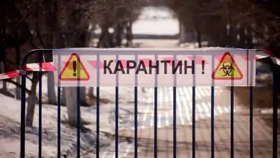 liter.kz, фото - Новости Zakon.kz от 25.12.2020 14:05