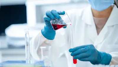 Россия, фото - Новости Zakon.kz от 20.07.2022 14:33