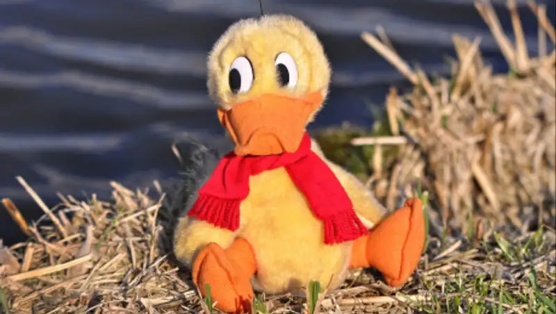 В Жамбылской области утонула 11-летняя девочка