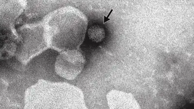 Zakon.kz, фото - Новости Zakon.kz от 15.02.2016 23:34