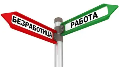 Политикус, фото - Новости Zakon.kz от 13.03.2018 18:18