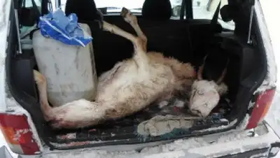 Zakon.kz, фото - Новости Zakon.kz от 27.10.2015 19:11