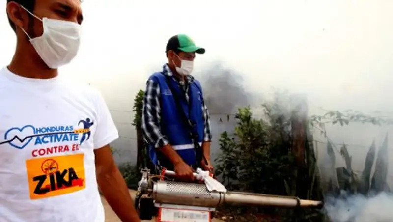 Ученые просят ВОЗ добиться отмены или переноса ОИ-2016 из-за вируса Зика