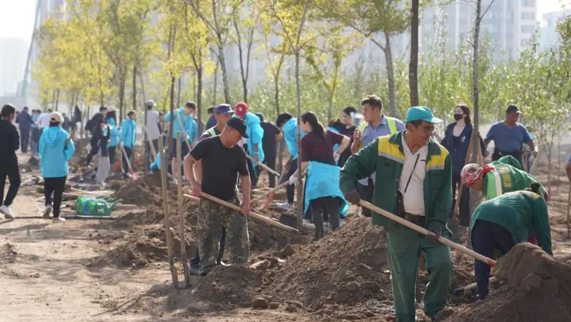 Экоакцию по посадке деревьев на Малом Талдыколе провели в Нур-Султане