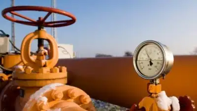 Zakon.kz, фото - Новости Zakon.kz от 16.08.2017 17:01