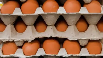 Zakon.kz, фото - Новости Zakon.kz от 12.01.2016 01:45