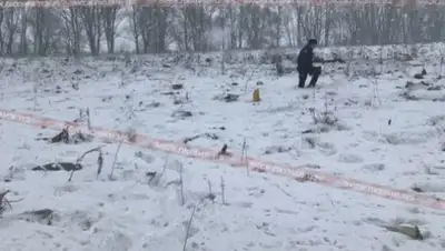 Zakon.kz, фото - Новости Zakon.kz от 11.02.2018 19:20