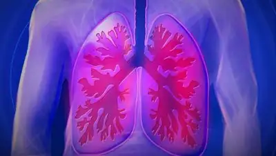 Pixabay, фото - Новости Zakon.kz от 19.09.2020 13:48