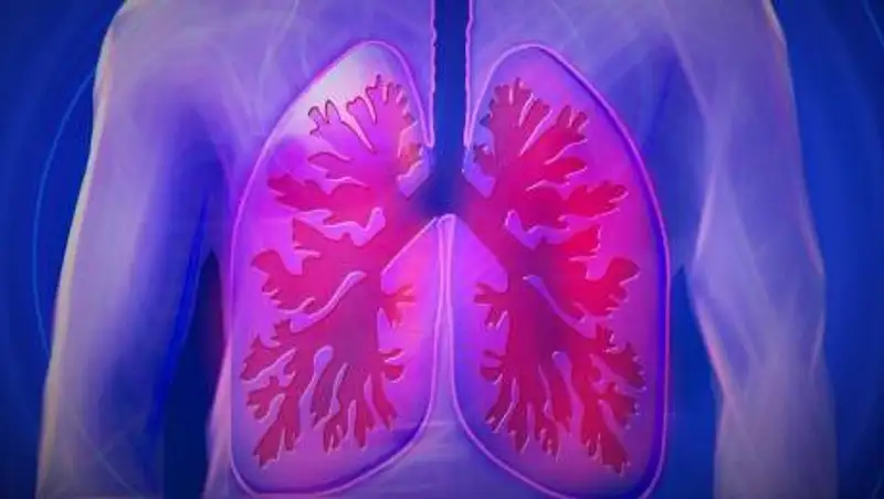 Кто подвергается наибольшему риску заражения туберкулезом