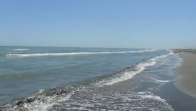 Zakon.kz, фото - Новости Zakon.kz от 05.02.2016 20:51