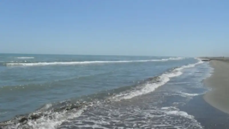 Досудебное производство по делу о гибели 4 казахстанских солдат на Каспии приостановлено 