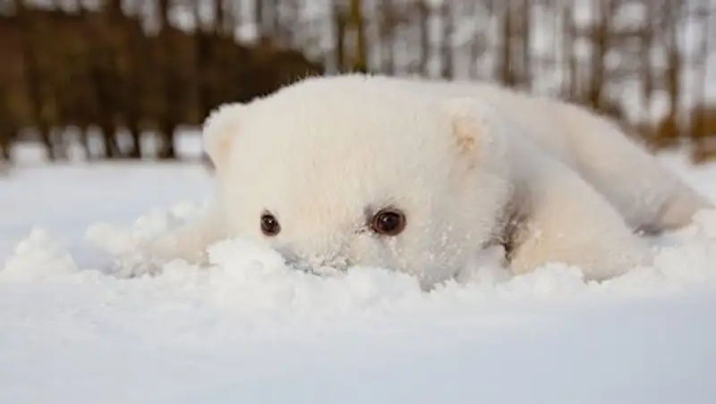 В воскресенье в Казахстане синоптики обещают метель и гололед
