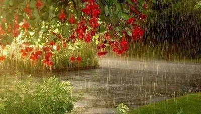 Zakon.kz, фото - Новости Zakon.kz от 26.07.2016 12:05