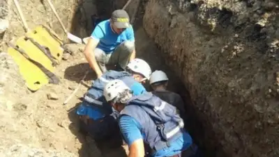 Zakon.kz, фото - Новости Zakon.kz от 12.08.2015 17:02