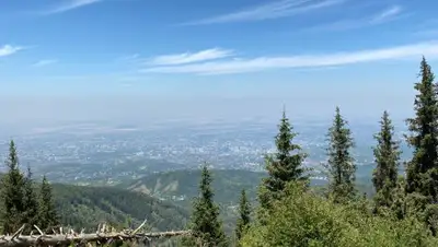 Zakon.kz, фото - Новости Zakon.kz от 13.08.2020 11:46