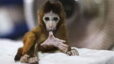 Zakon.kz, фото - Новости Zakon.kz от 22.11.2014 23:45