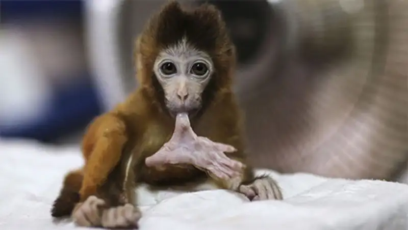 Неделя в фотографиях