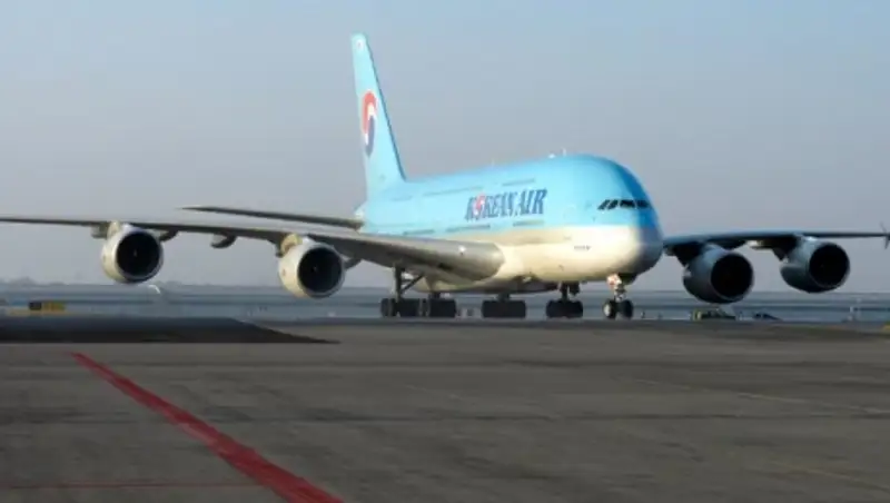 Дочь президента Korean Air Lines остановила вылет самолета из-за мешочка с орехами