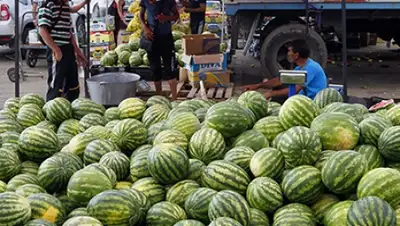 Zakon.kz, фото - Новости Zakon.kz от 07.08.2015 01:15