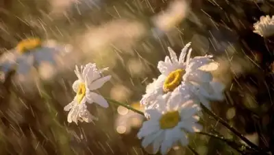 inpress.ua, фото - Новости Zakon.kz от 23.07.2018 13:10