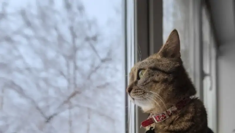 Какая погода ждет казахстанцев 23 марта