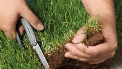 Zakon.kz, фото - Новости Zakon.kz от 31.10.2017 14:13