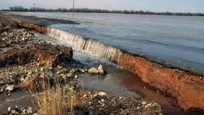 Zakon.kz, фото - Новости Zakon.kz от 05.04.2016 15:28