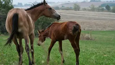 Zakon.kz, фото - Новости Zakon.kz от 17.02.2017 12:13