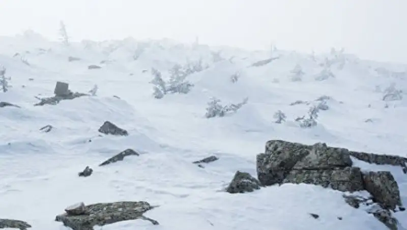 Найденная на перевале Дятлова туристка не стала возвращаться в Екатеринбург