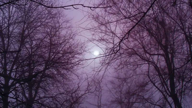 Синоптики рассказали, где в Казахстане ожидается туман 13 декабря