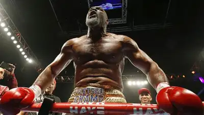 Zakon.kz, фото - Новости Zakon.kz от 23.05.2017 20:02