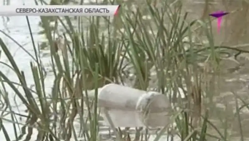 В Северном Казахстане увеличилось число «диких» пляжей