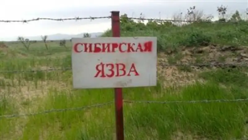 Минсельхоз РК ищет места захоронений сибирской язвы и ограждает их