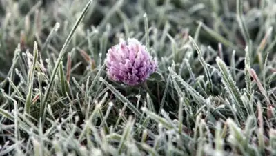 Zakon.kz, фото - Новости Zakon.kz от 22.08.2016 06:19