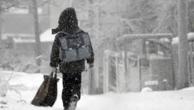 Zakon.kz, фото - Новости Zakon.kz от 22.11.2016 13:14