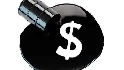 Zakon.kz, фото - Новости Zakon.kz от 17.02.2015 02:24