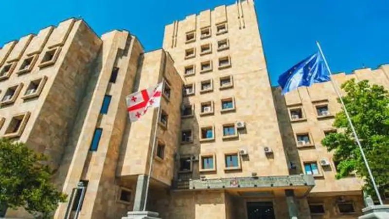 Прокуратура Грузии предъявила обвинение родственнику Асель Айтпаевой в ее изнасиловании