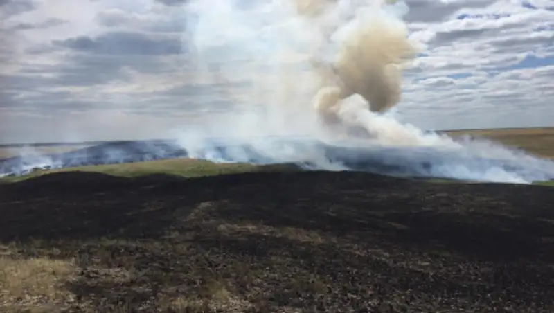 В СКО потушили степной пожар площадью в 500 гектаров
