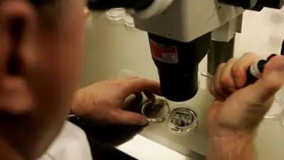 Zakon.kz, фото - Новости Zakon.kz от 04.02.2015 15:13