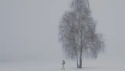 pixabay, фото - Новости Zakon.kz от 10.01.2020 13:28