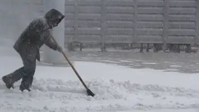 Zakon.kz, фото - Новости Zakon.kz от 07.12.2015 12:00