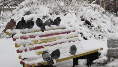 Zakon.kz, фото - Новости Zakon.kz от 01.10.2016 12:39